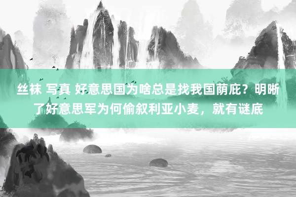 丝袜 写真 好意思国为啥总是找我国荫庇？明晰了好意思军为何偷叙利亚小麦，就有谜底