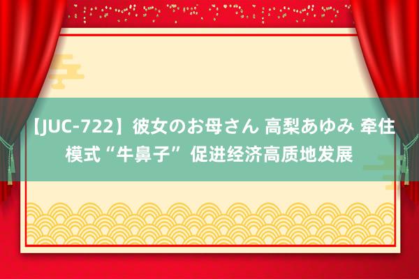 【JUC-722】彼女のお母さん 高梨あゆみ 牵住模式“牛鼻子” 促进经济高质地发展