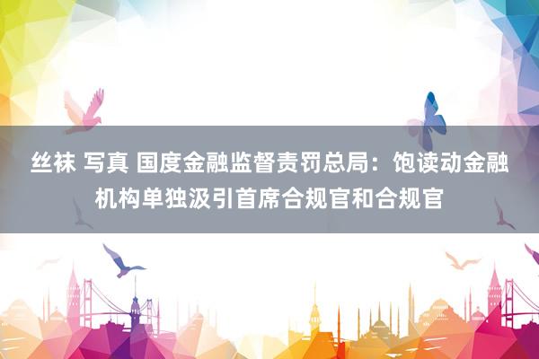 丝袜 写真 国度金融监督责罚总局：饱读动金融机构单独汲引首席合规官和合规官