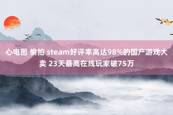 心电图 偷拍 steam好评率高达98%的国产游戏大卖 23天最高在线玩家破75万