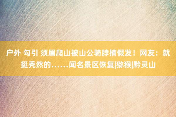 户外 勾引 须眉爬山被山公骑脖摘假发！网友：就挺秃然的……闻名景区恢复|猕猴|黔灵山