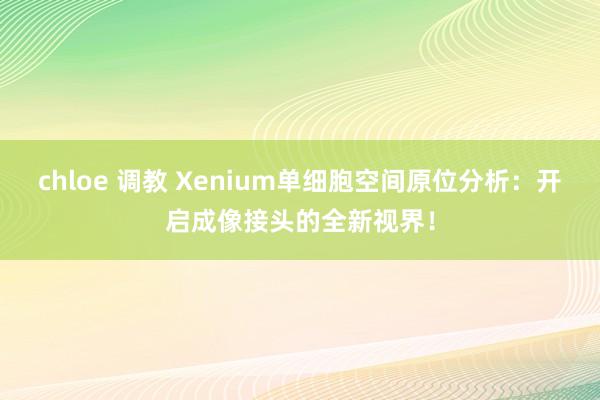 chloe 调教 Xenium单细胞空间原位分析：开启成像接头的全新视界！