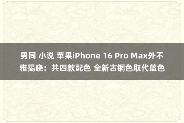 男同 小说 苹果iPhone 16 Pro Max外不雅揭晓：共四款配色 全新古铜色取代蓝色